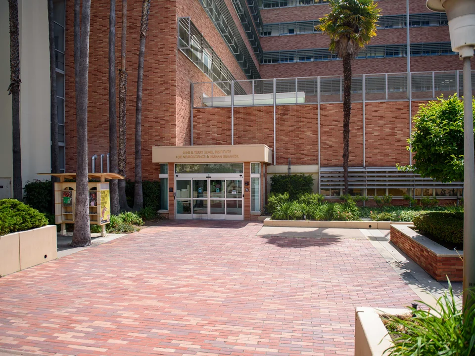 Semel Institute 